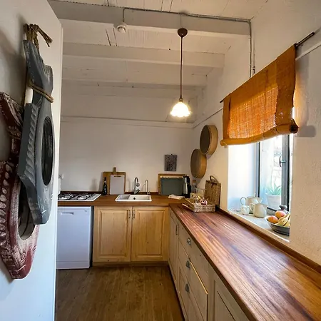 Urla Art Design Tasev Tatil Evi *