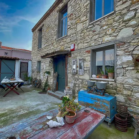 Urla Art Design Tasev * Kuscular